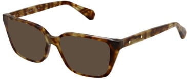 All Saints ALS1001-194 sunglasses in Light Tort