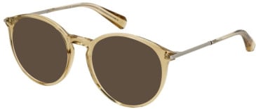 All Saints ALS1004-191 sunglasses in Crystal Light Cognac