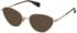 All Saints ALS3005-529 sunglasses in Warm Brass