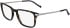 Zeiss ZS24722-57 glasses in Tortoise