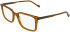 Zeiss ZS25559-57 glasses in Striped Brown