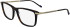 Zeiss ZS25723-58 glasses in Tortoise