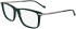 Zeiss ZS25723-58 glasses in Transparent Green