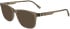 Lacoste L2974-56 glasses in Transparent Brown