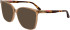 Lacoste L2989-58 glasses in Transparent Light Brown