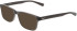 Nike 1000C-50 glasses in Smoke