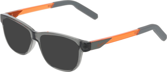 Nike 5065-49 glasses in Smoke Grey