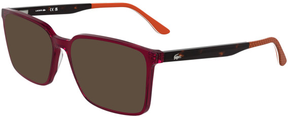 Lacoste L2992-56 glasses in Transparent Burgundy