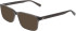 Nike 1001-59 glasses in Smoke
