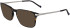 Zeiss ZS24722-57 glasses in Tortoise