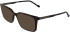 Zeiss ZS25559-57 glasses in Havana