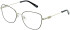 Amore Isabella glasses in Black