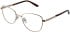 Amore Martina glasses in Rose Gold