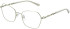 Amore Paloma glasses in Gold