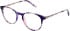 Amore Renata glasses in Purple
