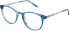 Amore Renata glasses in Blue