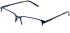 Cameo Alistair glasses in Navy