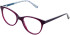 Cameo Ava glasses in Purple