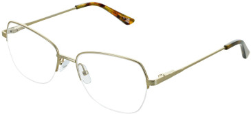 Cameo Grace glasses in Gold