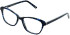 Cameo Isla glasses in Dark Blue