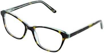 Cameo Isla glasses in Havana
