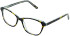 Cameo Isla glasses in Havana