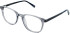 Cameo Jacob glasses in Grey