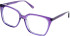 Cameo Luna glasses in Crystal Purple Rose