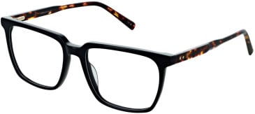 Cameo Miles glasses in Black