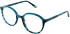 Cameo Neve glasses in Teal