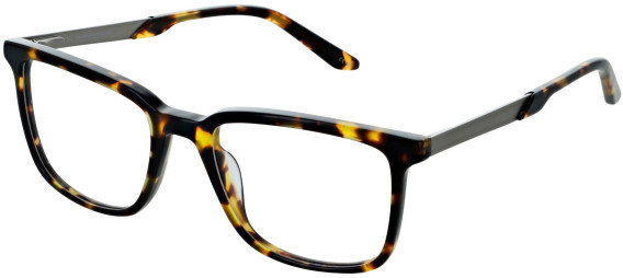 Cameo Noah glasses in Tort