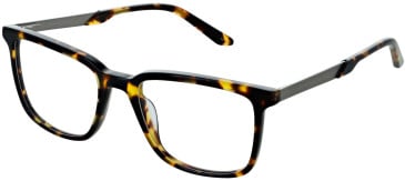 Cameo Noah glasses in Tort