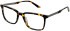Cameo Noah glasses in Tort