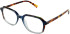 Cameo Ollie glasses in Blue