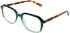Cameo Ollie glasses in Green