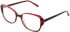 Cameo Orla glasses in Pink