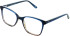 Cameo Tia glasses in Dark Navy