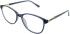 Lazer 4122 glasses in Grey