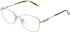 Lazer 4136 glasses in Gold