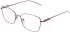 Lazer 4136 glasses in Lilac