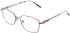 Lazer 4136 glasses in Rose Gold