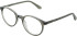 Lazer 4146 glasses in Grey