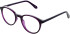 Lazer 4146 glasses in Purple