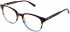 vibe. 08 glasses in Tort Multi