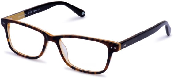 Walter & Herbert Cavendish glasses in Brown/Tort
