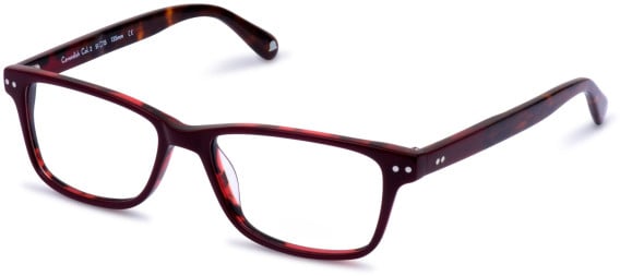 Walter & Herbert Cavendish glasses in Red