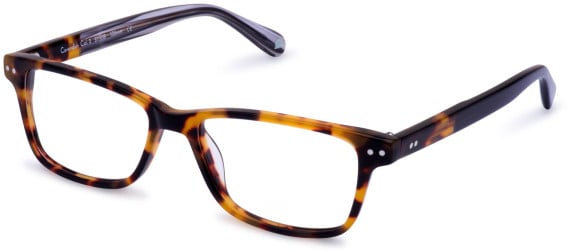 Walter & Herbert Cavendish glasses in Tort