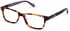 Walter & Herbert Cavendish glasses in Tort
