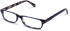 Walter & Herbert Darling glasses in Blue/Tort