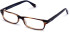 Walter & Herbert Darling glasses in Brown/Green